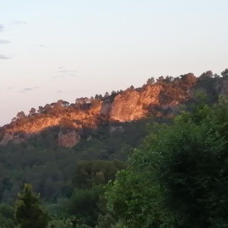 L' Oree Du Val Sillans-la-Cascade Buitenkant foto